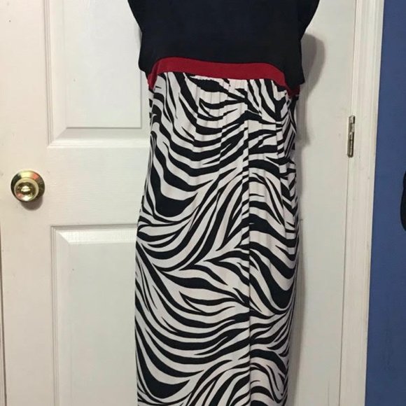 ZEBRA PRINT DRESS - Picture 4 of 5